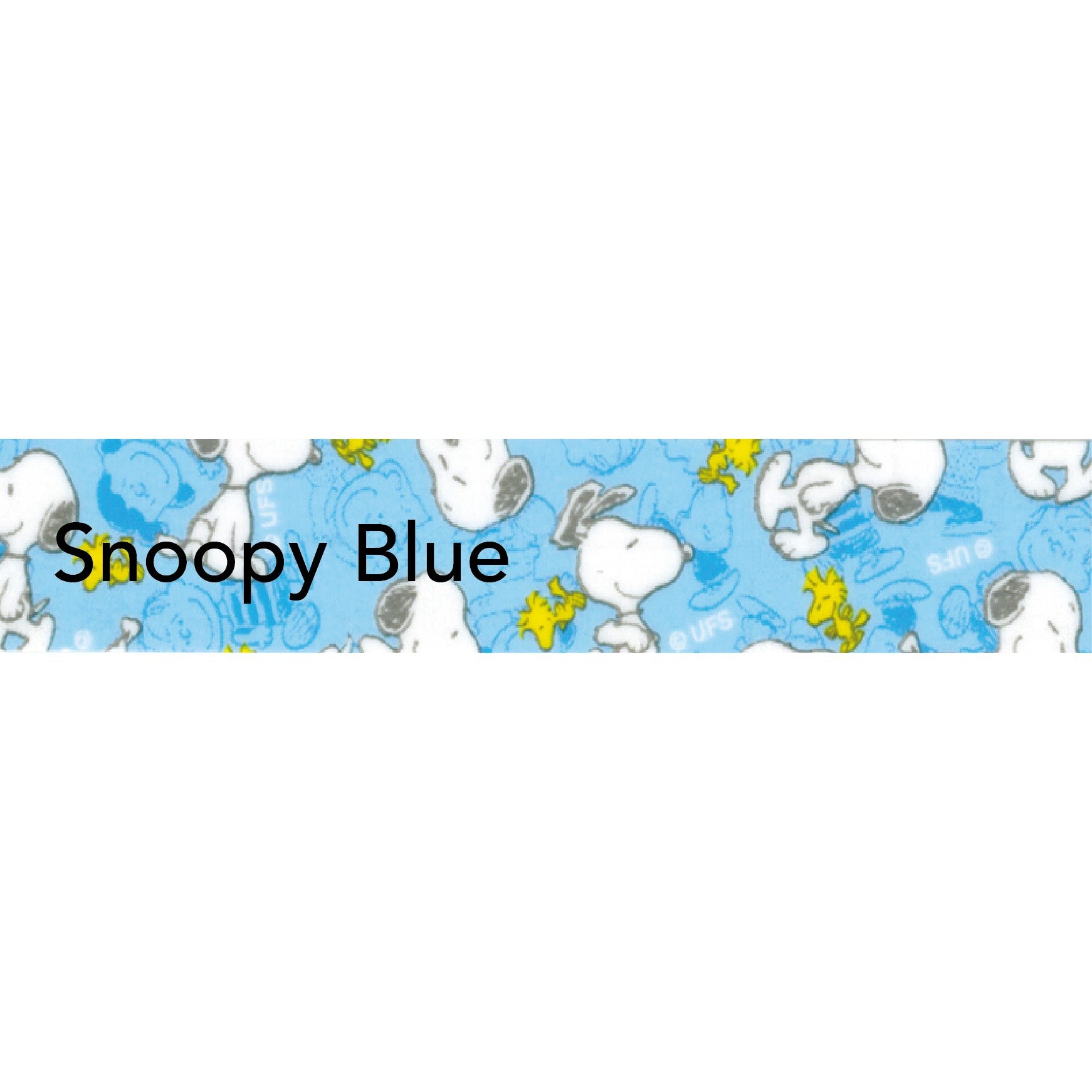 Tape2024_SnoopyBlue.jpg